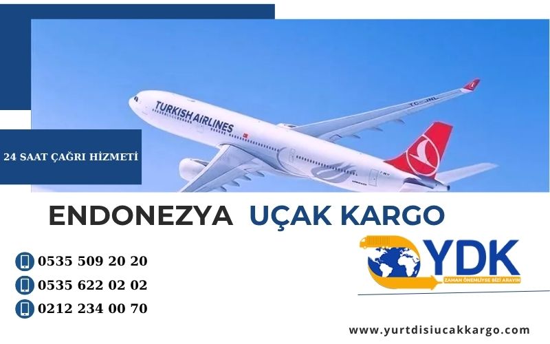 Endonezya Uçak Kargo Servisi.
