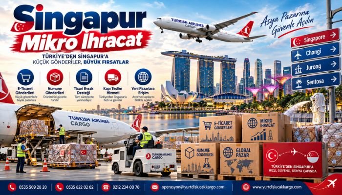 Singapur Mikro İhracat
