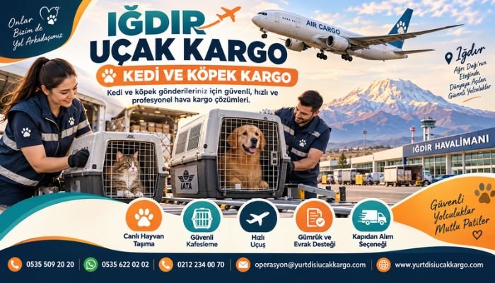 Iğdır Uçak Kargo Kedi Ve Köpek Kargo